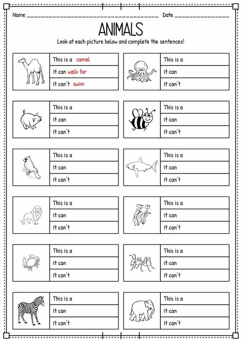 . Help your child learn about different animals, their habitats, and their unique features. Perfect for kindergarten and first grade Science Worksheets For 3rd Grade, Farm Animals Worksheets For Grade 1, Classifying Animals Worksheet, Animals Worksheet For Grade 1, Grade 3 Science Worksheets, Bird Worksheet, Writing Sentences Kindergarten, Animal Sorting, Classifying Animals