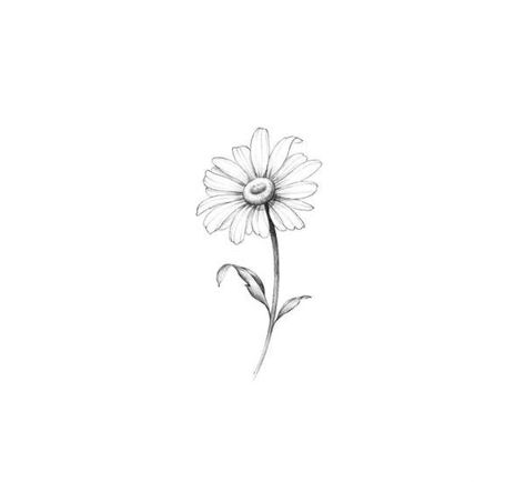 Fine Line Daisy Tattoo Ideas, Daisy Drawing Simple Tattoo, Margarita Tattoo Design, Daisy Tattoo Designs Drawings, Daisy Tattoo Fine Line, Daisy Tattoo Stencil, Minimal Daisy Tattoo, Margherita Tattoo, Black Fine Line Tattoo