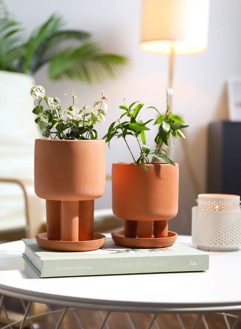 POTEY Terracotta Pots for Plants Indoor - 4.5 Inch Small Clay Plant Pots with 3 Legs, Succulent Planter Flower Pots with Removable Saucer (Set of 2, Plant NOT Included) Clay Plant, Clay Plant Pots, Chic Throw Pillows, Pots For Plants, Clay Flower Pots, Amazon Home Decor, Plants Indoor, Terracotta Planter, Ceramic Flower Pots