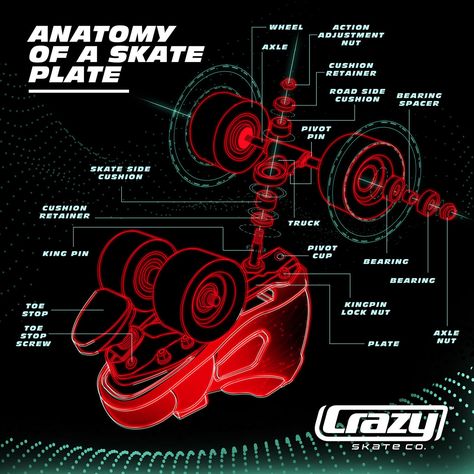 Anatomy of a Roller Skate. Learn about skate parts in our official guide! #crazyskates Best Roller Skates, Inline Skates, Inline Skating, Roller Derby, Roller Skate, Roller Skates, Roller Skating, The Crazy, Skating