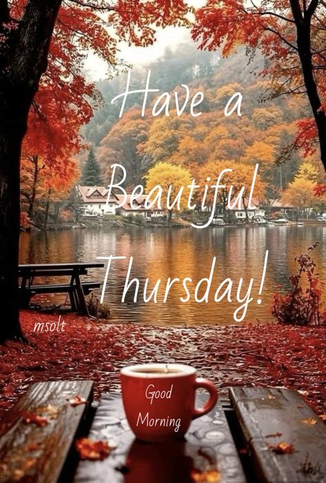 Thoughtful Thursday Quotes, Throwback Thursday Quotes, Blessed Thursday, Wednesday Morning Quotes, Thursday Images, Thursday Greetings, Thursday Blessings, Grand Rising, Week Quotes