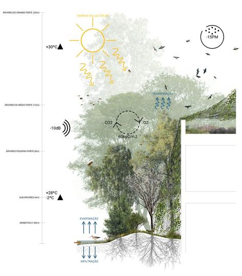 Nature Based Solutions Landscape, Vegetation Diagram Architecture, Environmental Section, Landscape Panel Design, Biodiversity Diagram, Nature Based Solutions, Biodiversity Architecture, Landscape Architecture Presentation, Landscape Diagram