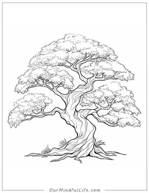 56 Awe-inspiring Tree Coloring Pages [Free Printable] - Our Mindful Life Tree Of Life Drawing Simple, Tree Of Life Outline, Aesthetic Tree Drawing, Sketch Book Art Ideas Aesthetic, How To Draw A Tree, Tree Coloring Pages Free Printable, Bonsai Sketch, Sketch Of Tree, Big Tree Drawing