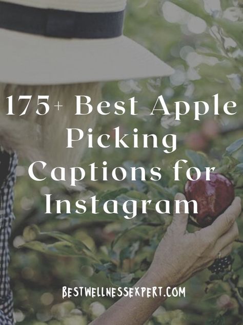 175+ Best Apple Picking Captions for Instagram Apple Picking Quotes Instagram Captions, Instagram Captions For Apple Picking, Cute Apple Picking Captions, Apple Orchard Captions For Instagram, Apple Orchard Instagram Captions, Apple Picking Quotes Instagram, Apple Quotes Inspirational, Apple Picking Captions For Instagram, Apple Captions For Instagram