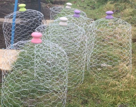 Chicken Wire Garden, Chicken Wire Crafts, Garden Cloche, Plant Cages, Raised Vegetable Gardens, Building Raised Garden Beds, Allotment Gardening, Chicken Cages, Chicken Garden