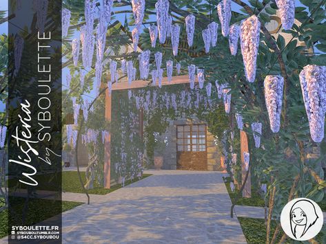 [DOWNLOAD] Wisteria set | Syboulette on Patreon Sims Garden Cc, Sims 4 Cc Garden Plants, Sims 4 Trees Cc, Sims 4 Cc Garden, Flower Vines, Wisteria Tree, Sims 4 Cc Folder, Sims Ideas, Sims 4 House Design