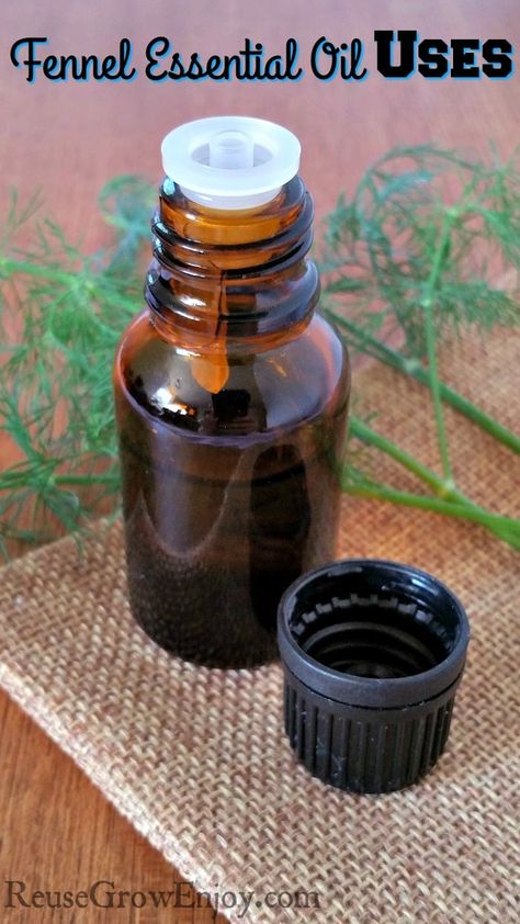 Fennel Essential Oil Uses for Women’s Health Ways To Use Essential Oils, Selling Essential Oils, Fennel Oil, Fennel Essential Oil, Essential Oils For Colds, What Are Essential Oils, Thrifty Living, Essential Oil Blends Recipes, Juice Plus