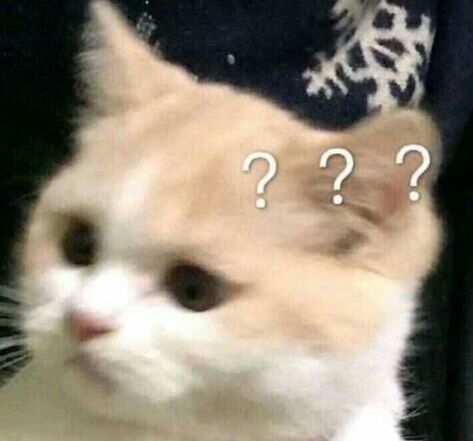 @pluuviospit shared a photo on Instagram: “actually it thsi whole account that is cringe . . . . . . ♡: tags (ignore lol)…” • Jun 22, 2021 at 1:55am UTC Confused Reaction Pic, Confused Reaction, Confused Cat, Reaction Pic, Cute Cat, We Heart It, Lost, Tags