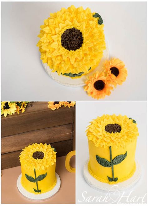 Bright yellow sunflower design cake Sunflower First Birthday Cake, Sunflower Smash Cake 1st Birthdays, Sunflower Smash Cake, Cake Smash Cakes, Sunflower Cake Smash, Sunflower First Birthday, Sunflower Birthday Cakes, Reese Cup, Yellow Stuff