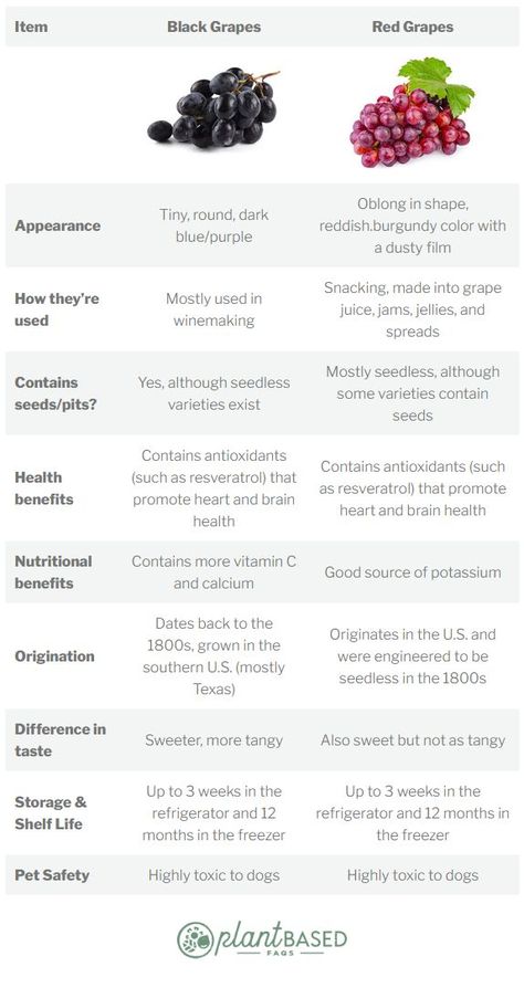 Red Grapes Benefits, Benefits Of Red Grapes, How To Make Wine From Grapes, Benefits Of Green Grapes, Black Grapes Benefits, Green Grapes Benefits, Grapes Calories, Different Types Of Grapes, Types Of Grapes For Wine