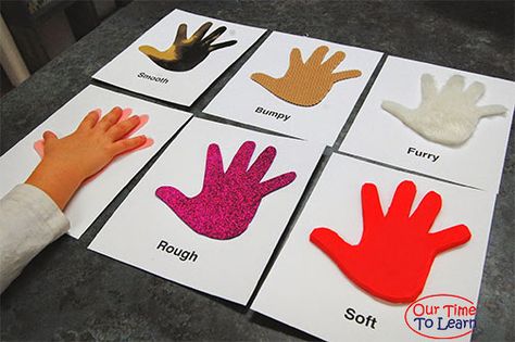 Early Childhood Educational Series Sensory Cards, Five Senses Preschool, 5 Senses Activities, Senses Preschool, Senses Activities, 5 Senses, Five Senses, Preschool Science, Tot School