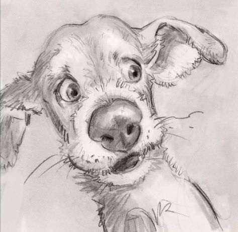 Pencil Animals Drawings, Dog Sketch Cartoon, Dog Pencil Sketch, Dog Sketches, Dog Drawing Tutorial, Colorful Hairstyles, Dog Portraits Painting, Arte Aesthetic, 얼굴 드로잉