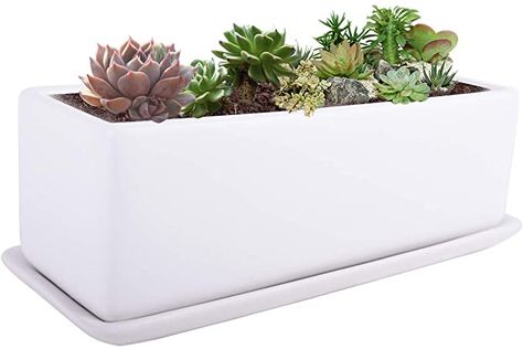 Vencer 12 Inch Modern Minimalist Ceramic Succulent Planter Pot - Window Box with Saucer,Office Desktop Potted Stand,White,VF-0135 : Amazon.ca: Patio, Lawn & Garden Desktop Planter, Vegetable Planters, Ceramic Succulent Planter, Window Planters, Trough Planters, Rectangular Planters, Ceramic Succulent, Window Planter Boxes, Flower Window