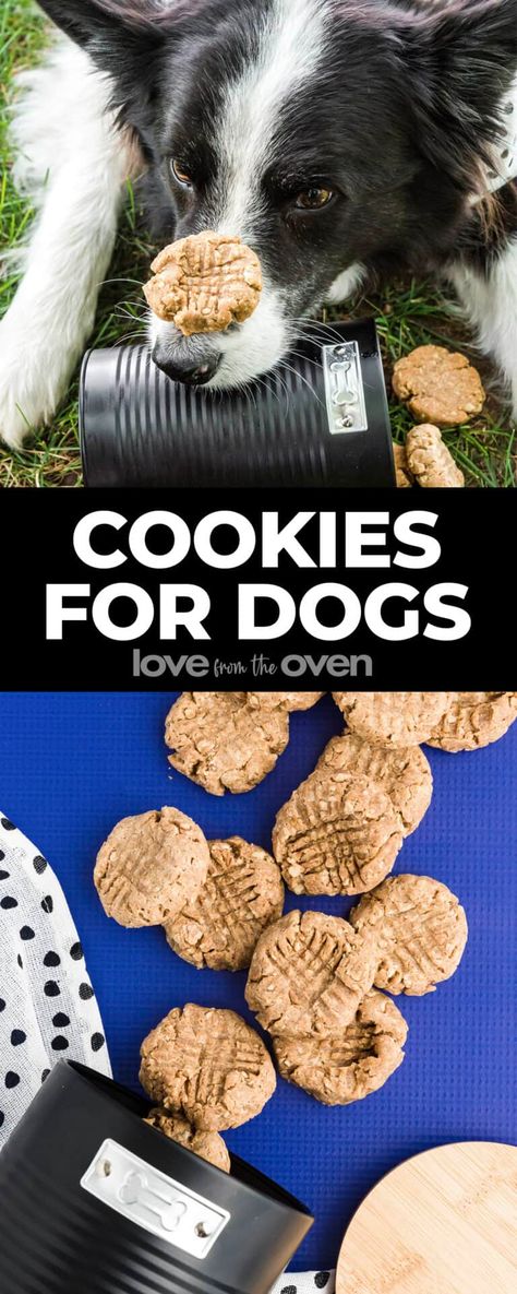 Dog Cookie Recipe • Love From The Oven Easy Dog Cookies Recipe, Cookies For Puppies, Puppy Cookies Doggie Treats, Healthy Dog Cookies Recipe, Dog Cookies Recipe Peanut Butter, Dog Bone Cookies For People, Dog Cookie Recipes, Dog Cupcakes, Love From The Oven