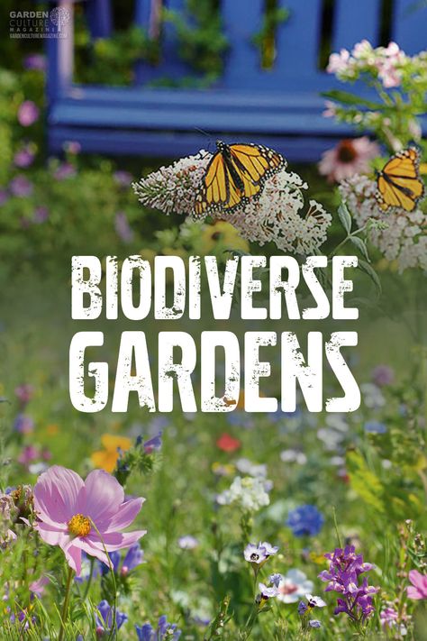 Biodiverse Gardens Improve Pollination, Harvests, and Pest Control Biodiversity Garden Design, Bio Diverse Garden, Biodiverse Garden, Maine Gardens, Biodiversity Garden, Biointensive Gardening, Soil Microorganisms, Gardener Aesthetic, Gardening Aesthetic