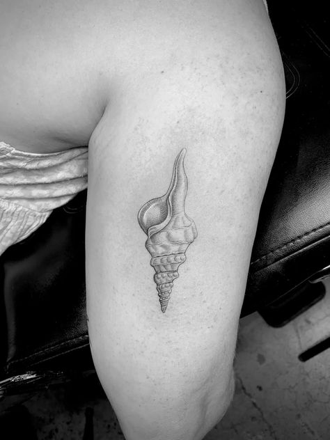 Looking for Black and Grey Fine Line and Single Needle Tattoos? Follow for the latest designs and tattoo reference inspiration @danielcollinsart 
#tattooinspiration #tattooideas #fineline #singleneedle #microrealism #tattoos #blackworktattoo #inked #blackandgrey Fine Line Realism Tattoo, Shell Tattoo, Shell Tattoos, Poke Tattoo, Realism Tattoo, Fine Line Tattoos, Line Tattoos, Fine Line, I Tattoo