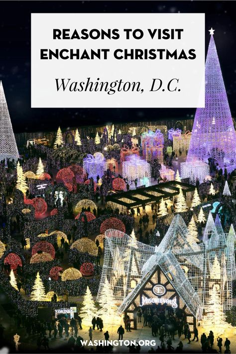 Don't miss this incredible winter spectacle at Nationals Park. Dc In Winter, Christmas In Dc, Washington Dc Christmas, Summer Block Party, National Building Museum, Visit Dc, Holiday Lights Display, Hotel Packages, Christmas Light Displays