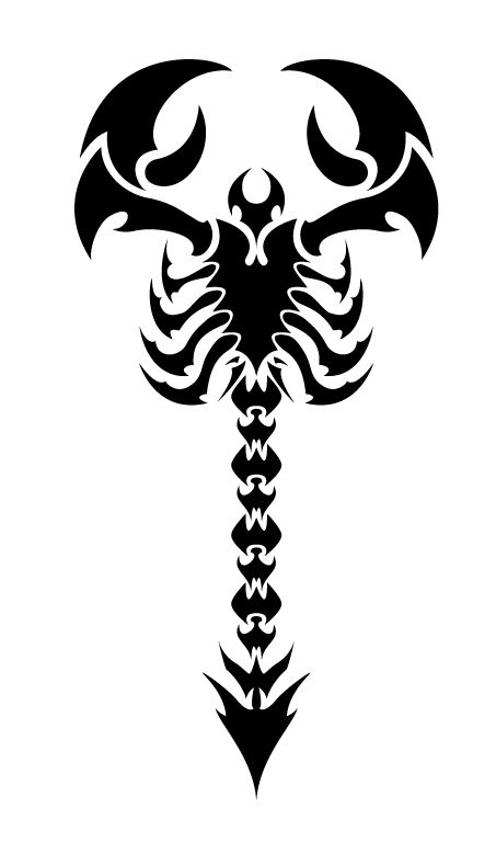 Another vector tattoo design. Stammestattoo Designs, Scorpio Tattoo, Scorpion Tattoo, Tattoo Style Drawings, Celtic Tattoos, Skull Tattoos, Tattoo Design Drawings, Sleeve Tattoo, First Tattoo