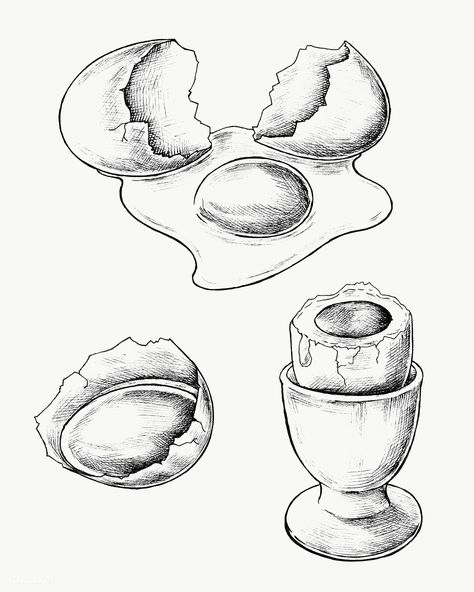 Food Drawing Sketches Pencil, Boiled Egg Drawing, Food Drawing Sketches, Egg Sketch, Eggs Drawing, Egg Drawing, Food Sketches, Egg Hatching, Vintage Food Posters