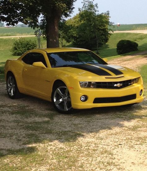 2010 Cars, 2010 Camaro Ss, 2010 Chevy Camaro, Yellow Camaro, Chevrolet Camaro 2010, Camaro Car, Camaro Zl1, Camaro Ss, Pretty Cars