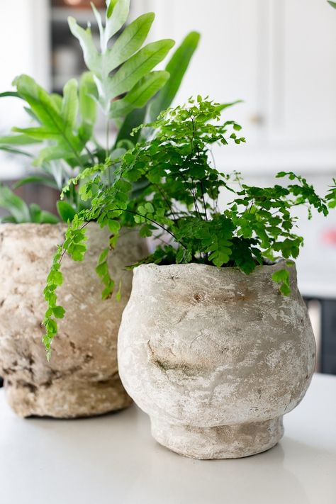 How to make an antique faux concrete planter Antique Terra Cotta Pots, Diy Painted Vases, Aging Terra Cotta Pots, Diy Terra Cotta Pots, Diy Concrete Planters, Concrete Diy Projects, Hemma Diy, Decor Hacks, Rustic Pottery