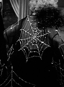 The Makeup Brush — normajeanebaker: The Spider Web Dress worn by... 1950s Halloween, Dress Illustration, Mae West, Black Spider, Body Adornment, Dark Outfits, Photo Makeup, Brocade Fabric, Spider Web