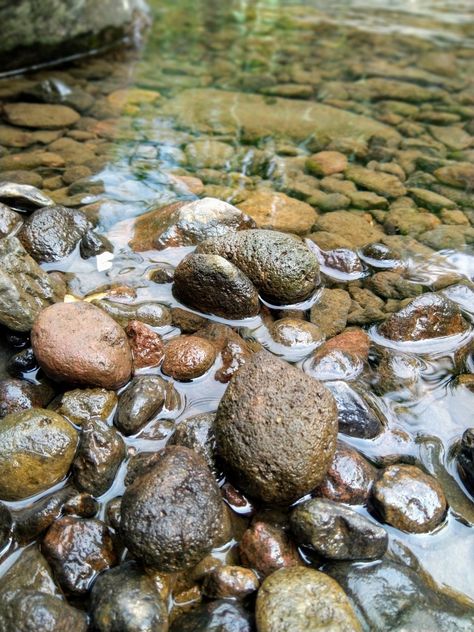 Pebbles In Water, Rocks In Water, Watercolor Rocks, Australian Painting, Rock Photography, River Painting, Rock And Pebbles, Water Effect, River Rocks