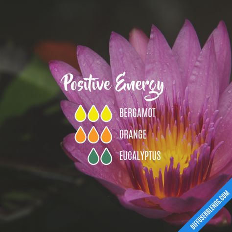 Positive Energy - Essential Oil Diffuser Blend Fragrance Blends, Doterra Diffuser Blends, Essential Oil Combinations, Essential Oil Diffuser Blends Recipes, Yl Essential Oils, Essential Oil Diffuser Recipes, Oil Diffuser Recipes, Essential Oil Mixes, Essential Oil Blends Recipes