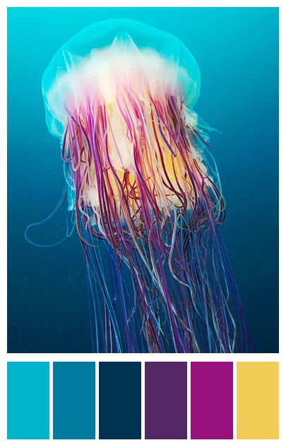 Jellyfish Colour Palette, Jellyfish Color Palette, Unique Looks, Color Boards, Palette Design, Watercolor Books, Sea Colour, Concept Board, Jelly Fish