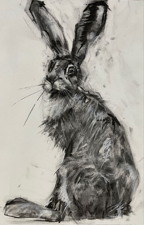 Charcoal Drawing Inspiration, Charcoal Art Sketches Nature, Charcoal And Ink Art, Rabbit Charcoal Drawing, Charcoal Line Drawing, Charcoal Mixed Media Art, Scary Charcoal Drawing, Charcoal Wildlife Art, Carchoal Art Charcoal Drawings