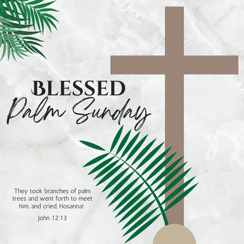 Palm Sunday Template #blessed #sacred #holy #palmsunday #palm #sunday #celebration #catholic #christian #holyweek #week #tradition #devotion #cross #crucifix #John #leaves #brown #green #post #canva #designs #template #element #minimalist #greetings greeting #symbol #faith #passion #lent #jesus #religion #isntagram #facebook #post Plam Sunday Pic, Blessed Palm Sunday, Palm Sunday Quotes, Sunday Bible Verse, Church Background, Happy Palm Sunday, Sunday Images, Church Backgrounds, Sunday Church