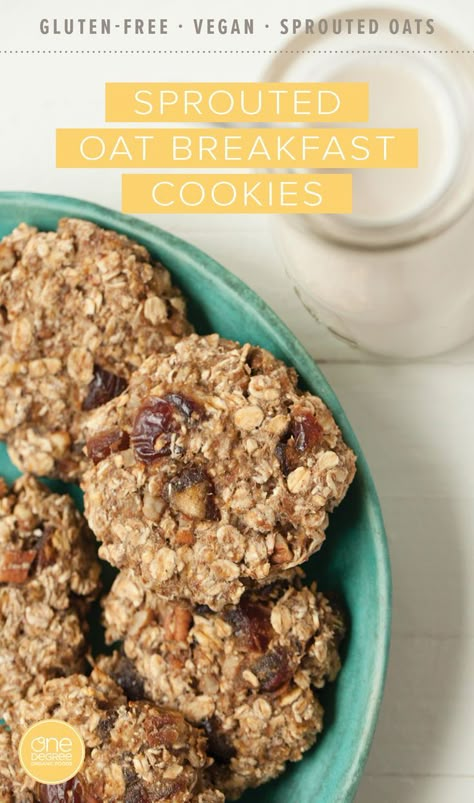 Our easy, vegan gluten-free Sprouted Oat Breakfast Cookies are sweetened with dates and high in fiber—all the excuse you need to turn a sprouted oatmeal cookie recipe into a healthy sprouted oat breakfast. One Degree Organics Sprouted Rolled Oats pair with mashed banana, chopped pecans, and simple vegan ingredients to make the perfect healthy snack, wholesome vegan organic dessert, or plant-based breakfast to take on the go. Pin this kid-friendly sprouted oat recipe for the next time you bake! Sprouted Oat Cookies, Sprouted Oatmeal Cookies, Overnight Sprouted Rolled Oats, Sprouted Rolled Oats Cookies, Sprouted Oatmeal Recipes, Sprouted Rolled Oats Recipes, Sprouted Oats Recipes, Sprouted Rolled Oats, Sprouted Oats