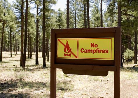 Camping and cooking without fire when campfire bans are in effect Campfire Safety, Meals No Refrigeration, Wrap Recipes For Lunch, Build A Campfire, Camping Meals For Kids, Camping Food Make Ahead, Camping Fire, Fake Candles, Easy Camping Meals