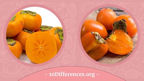 When most people think of fall fruits, they likely think of apples and pears. But other delicious fruits are in season during the autumn months. Sharon fruit and Persimmon are two such fruits. Though they share some similarities, there are some key differences between these two types of fruit. The main difference between Sharon fruit […] Persimmon Benefits Healthy, Hanbury Persimmon, Sharon Fruit, Fruits To Avoid During Pregnancy, Persimmon Fruit, Types Of Fruit, Fall Fruits, Fiber Rich, Nutritious Snacks