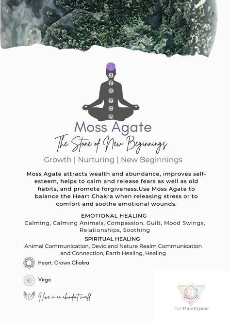 Benefits of Moss Agate Mediation Guide Waxhaw North Carolina, Crystal Benefits, Crystal Egg, Crystals Jewelry, Healing Heart, Healing Crystal Jewelry, Meditation Stones, Attract Wealth, Amethyst Cluster