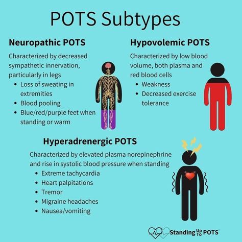 Autonomic Nervous System Dysfunction, Dysautonomia Awareness, Dysautonomia Pots, Mast Cell Activation Syndrome, Spoonie Life, Ehlers Danlos, Autonomic Nervous System, Ehlers Danlos Syndrome, Migraine Headaches