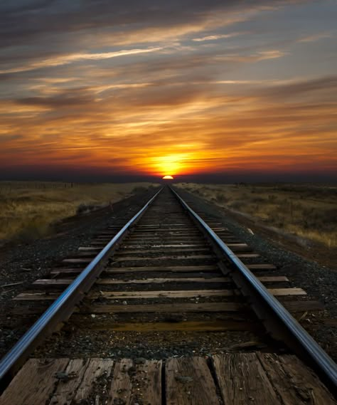 Caminos de hierro Road Pics, Leading Lines, Sunrise Photos, Sun Setting, Sunrises And Sunsets, Sunrise And Sunset, Beautiful Sunrise, Train Tracks, Chiaroscuro