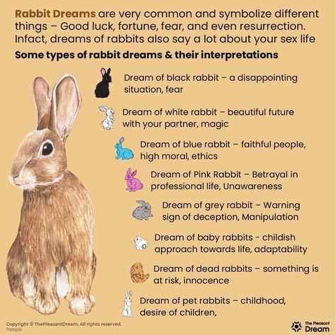 Dreaming of Rabbits and wondering what it means? Keep Reading! [59 Types] Bunny Meaning, Rabbit Symbolism, Rabbit Totem, Animal Totem Spirit Guides, Facts About Dreams, Spirit Animal Meaning, Animal Meanings, Spiritual Animal, Animal Spirit Guides