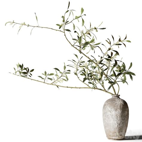 Branches with leaves in an old clay vase - Bouquet - 3D model Vase With Flowers Aesthetic, Vase With Plant, Vase Png, Furniture Png, Branches With Leaves, Accessories Png, Vase Bouquet, Jewelry Store Interior, Plant Png