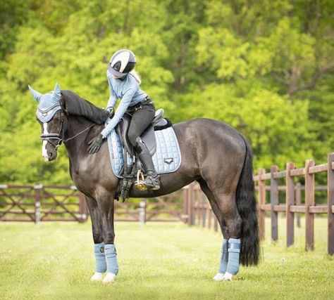 Lemuix Sets, English Tack Sets, Lollipop Ideas, Horse Riding Gear, English Horse Tack, Riding Outfits, Horse Riding Outfit, English Tack, Equestrian Aesthetic