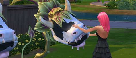 The Sims 4 Cow Plant Sims 4 Farm Animals Cc, Cow Build Sims 4, Sims 4 Cowplant Cc, Cow Plant Sims, Sims 4 Harvestable Plants, Dragon Fruit Tree, Sims 4 Seasons, Sims 4 Cheats, Cow Photos