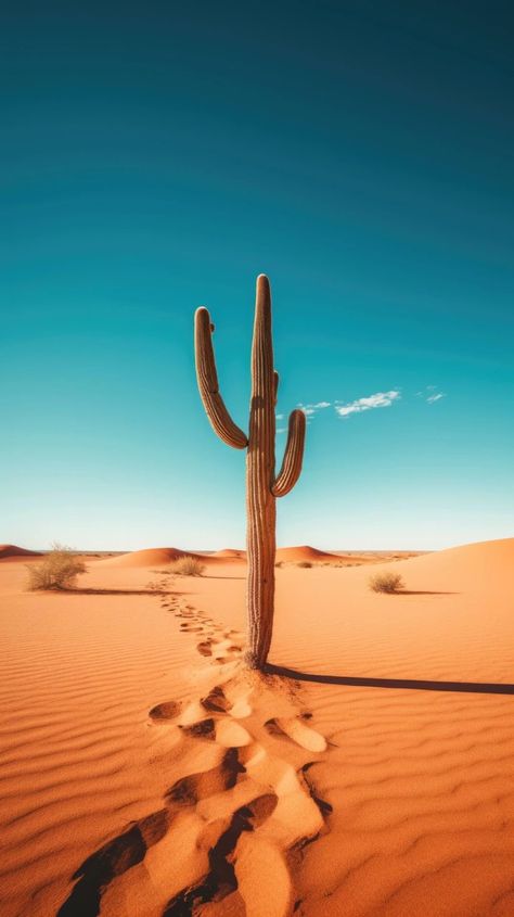 Desert Nature Photography, Cacti In Desert, Mexican Desert Landscape, Desert Pictures Photography, Resilience Aesthetic, Desert Cactus Photography, Desert Minimalism, Arabian Desert Aesthetic, Cactus In Desert