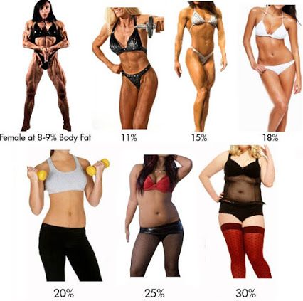 Longevity and increasing Life Expectancy is best done with 18%-20% fat. - And other activities.  TheHealthCycle.com Body Fat Percentage Women, Body Fat Percentage Chart, Body Fat Percentage Calculator, Womens Body, Body Fat Loss, Body Types Women, Body Fat Percentage, Big Muscles, Lose Body Fat