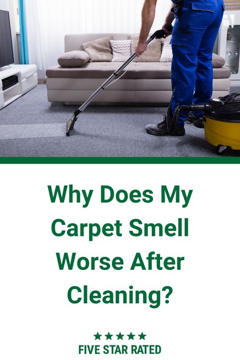 Many homeowners discover their carpets smells worse immediately after cleaning. But what is causing that smell, and more importantly, how you can minimize it? Pet Odor Carpet Cleaner, Musty Carpet Smell How To Remove, Carpet Odor Remover Diy, Make Carpet Smell Good, Best Carpet Cleaner For Pet Urine, Carpet Smell Remover, How To Get Smell Out Of Carpet, Smelly Carpet How To Get Rid Of, How To Get Pee Smell Out Of Carpet