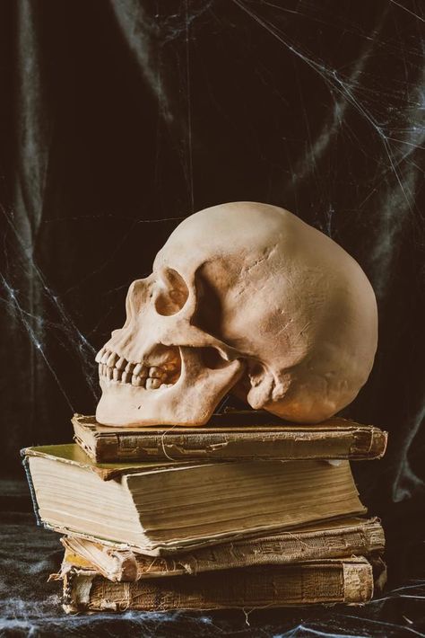 Modern vanitas Legend Of Sleepy Hollow, Spooky Stories, Ancient Books, Cosmic Horror, October 29, Blog Inspiration, Book Blogger, Ghost Stories, Halloween Skull