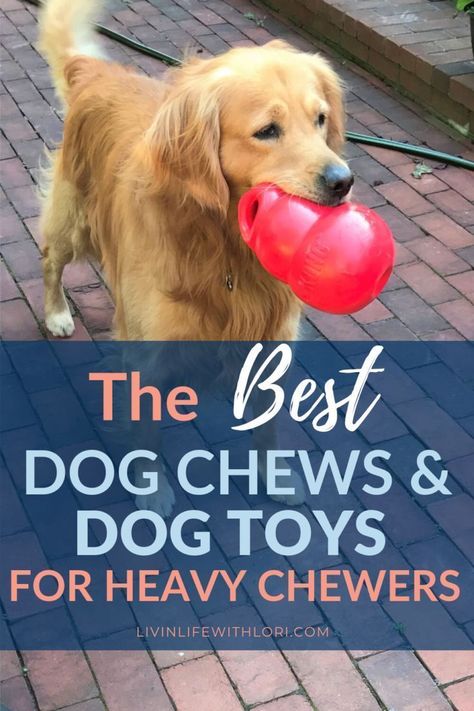 Stimulating Dog Toys, Kong Dog Toys, Dogs Toys, Cute Dog Toys, Dog Cots, Dog Toys Indestructable, Diy Dog Toys, Best Dog Toys, Dog Enrichment