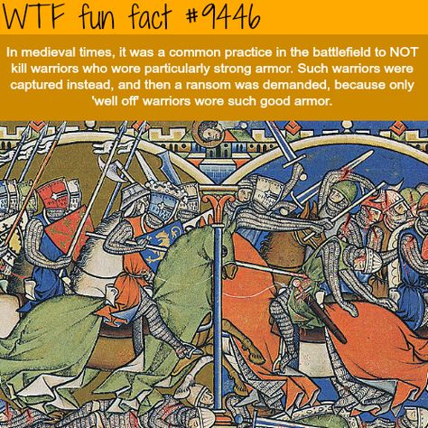 WTF Facts : funny, interesting & weird facts History Graphic Organizers, Weird History Facts, Weird History, Funny Art History, What The Fact, Best Armor, Facts Funny, History Facts Interesting, Medieval Times