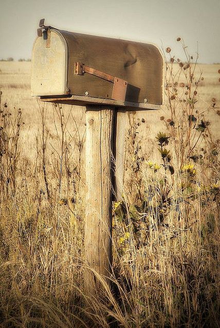 Gift from Jim and Bonnie stands proud and useful.  K.W. Country Mailbox, Old Mailbox, Country Roads Take Me Home, Country Scenes, Farms Living, Down On The Farm, Country Charm, Old Barns, Country Farm