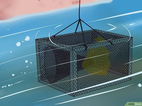 How to Make a Fish Trap: 14 Steps (with Pictures) - wikiHow Catfish Trap Diy, Fish Traps Diy How To Make, Diy Minnow Trap, Diy Fish Trap, Fish Traps Diy, Catfish Trap, Hog Trap, Turtle Traps, Crawfish Traps