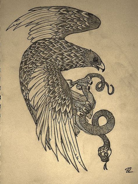 Hawk with snake. Snake Sketch, Falcon Tattoo, Distortion Art, Hawk Tattoo, Snake Drawing, Self Love Tattoo, Nature Tattoo, Eagle Tattoos, Japanese Drawings